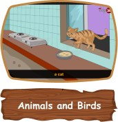 kidanimal